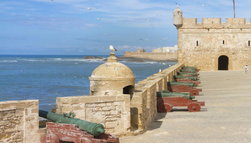 Excursion d'une journée à Essaouira - Photo 1